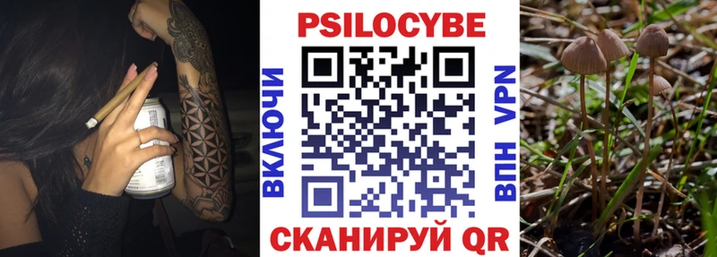 Псилоцибиновые грибы мицелий  Новый Оскол 